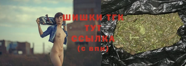 ГАЛЛЮЦИНОГЕННЫЕ ГРИБЫ Надым