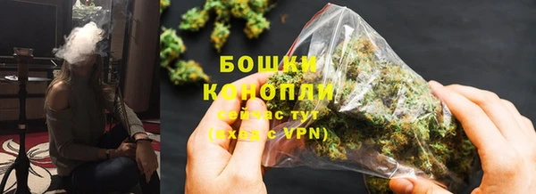 ГАЛЛЮЦИНОГЕННЫЕ ГРИБЫ Надым