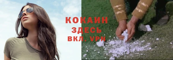 ГАЛЛЮЦИНОГЕННЫЕ ГРИБЫ Надым