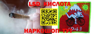 спиды Краснознаменск