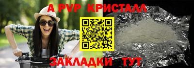 СК Кузнецк