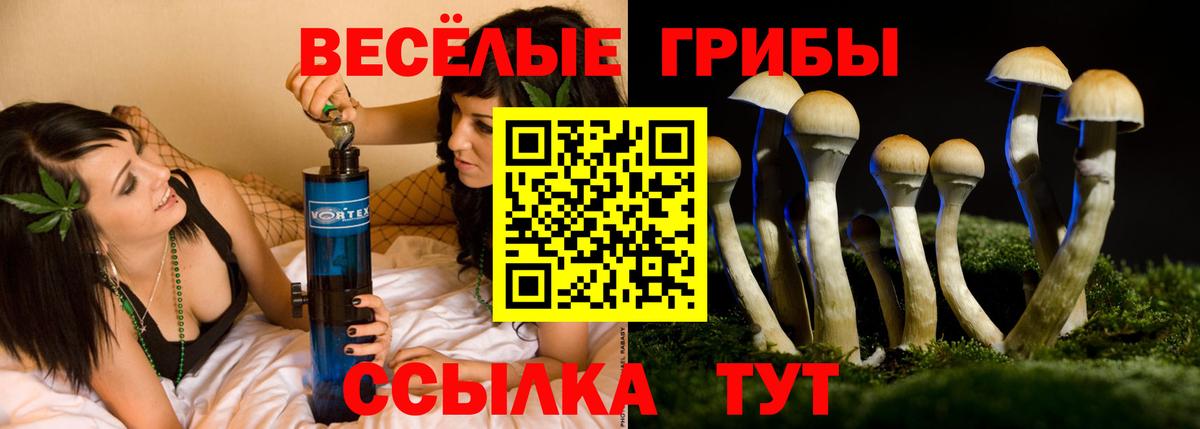 Псилоцибиновые грибы Magic Shrooms Воронеж